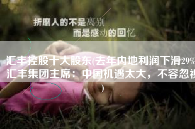 汇丰控股十大股东(去年内地利润下滑29%，汇丰集团主席：中国机遇太大，不容忽视)