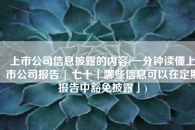 上市公司信息披露的内容(一分钟读懂上市公司报告 | 七十「哪些信息可以在定期报告中豁免披露」)