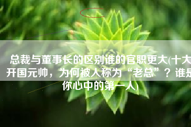 总裁与董事长的区别谁的官职更大(十大开国元帅，为何被人称为“老总”？谁是你心中的第一人)
