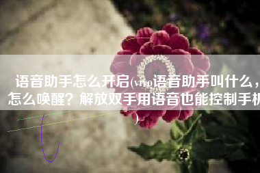 语音助手怎么开启(vivo语音助手叫什么，怎么唤醒？解放双手用语音也能控制手机)