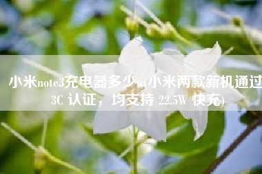 小米note3充电器多少w(小米两款新机通过 3C 认证，均支持 22.5W 快充)
