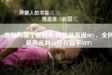 返利网哪个返利多(网购最高返90%，全网最高返利，尽在指乎APP)
