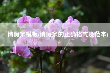 请假条模板(请假条的正确格式及范本)