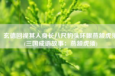 玄德回视其人身长八尺豹头环眼燕颔虎须(三国成语故事：燕颔虎须)