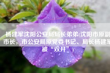 杨建军沈阳公安局局长弟弟(沈阳市原副市长，市公安局原党委书记、局长杨建军被“双开”)