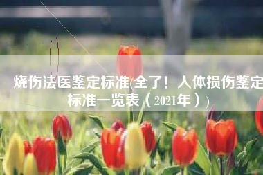 烧伤法医鉴定标准(全了！人体损伤鉴定标准一览表（2021年）)