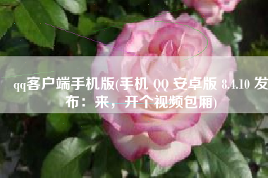 qq客户端手机版(手机 QQ 安卓版 8.4.10 发布：来，开个视频包厢)