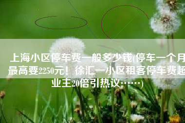 上海小区停车费一般多少钱(停车一个月最高要2250元！徐汇一小区租客停车费超业主20倍引热议……)