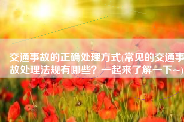 交通事故的正确处理方式(常见的交通事故处理法规有哪些？一起来了解一下~)
