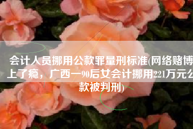 会计人员挪用公款罪量刑标准(网络赌博上了瘾，广西一90后女会计挪用221万元公款被判刑)