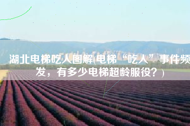 湖北电梯吃人图解(电梯“吃人”事件频发，有多少电梯超龄服役？)