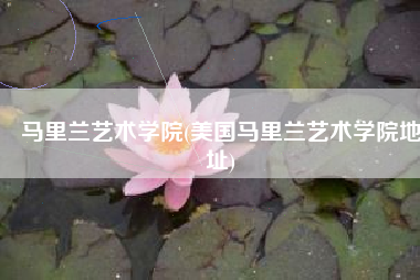 马里兰艺术学院(美国马里兰艺术学院地址)