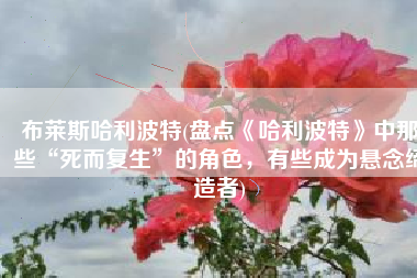 布莱斯哈利波特(盘点《哈利波特》中那些“死而复生”的角色，有些成为悬念缔造者)