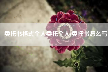 委托书格式个人委托个人(委托书怎么写)