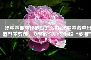 吃蛋黄派查出酒驾怎么办(吃蛋黄派查出酒驾不要慌，交警教你如何化解“被酒驾”)