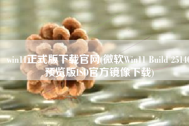 win11正式版下载官网(微软Win11 Build 25140预览版ISO官方镜像下载)