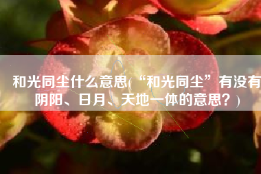 和光同尘什么意思(“和光同尘”有没有阴阳、日月、天地一体的意思？)