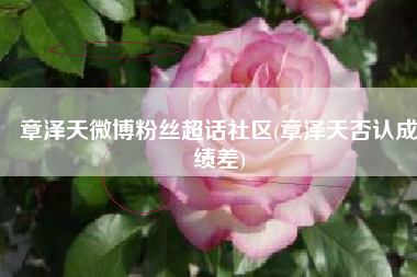 章泽天微博粉丝超话社区(章泽天否认成绩差)
