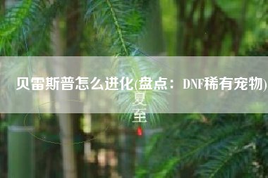 贝雷斯普怎么进化(盘点：DNF稀有宠物)