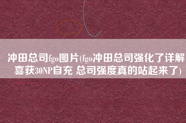 冲田总司fgo图片(fgo冲田总司强化了详解 喜获30NP自充 总司强度真的站起来了)