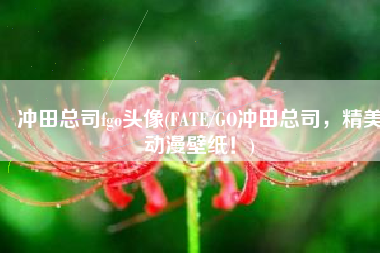 冲田总司fgo头像(FATE/GO冲田总司，精美动漫壁纸！)