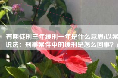 有期徒刑三年缓刑一年是什么意思(以案说法：刑事案件中的缓刑是怎么回事？)
