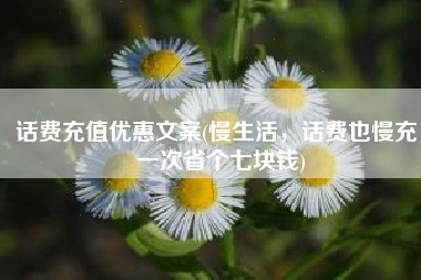 话费充值优惠文案(慢生活，话费也慢充，一次省个七块钱)