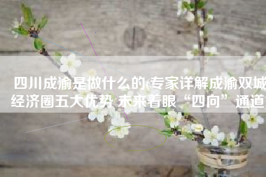 四川成渝是做什么的(专家详解成渝双城经济圈五大优势 未来着眼“四向”通道)