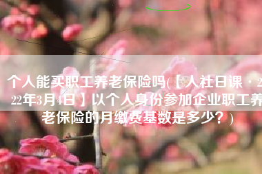 个人能买职工养老保险吗(【人社日课·2022年3月4日】以个人身份参加企业职工养老保险的月缴费基数是多少？)