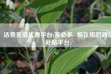 话费充值优惠平台(客必多--都在用的消费补贴平台)