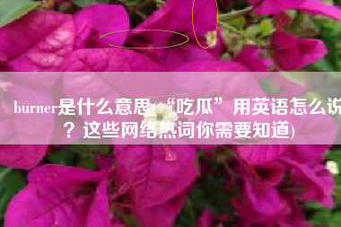 burner是什么意思(“吃瓜”用英语怎么说？这些网络热词你需要知道)