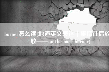 burner怎么读(地道英文表达｜事情往后放一放——on the back burner)