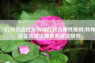 行政合法性原则和行政合理性原则(特种设备法律法规体系建设研究)