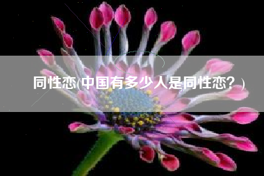 同性恋(中国有多少人是同性恋？)