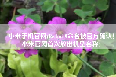小米手机官网(Redmi 9命名被官方确认！小米官网首次放出机型名称)