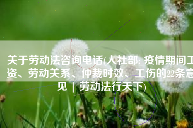 关于劳动法咨询电话(人社部: 疫情期间工资、劳动关系、仲裁时效、工伤的22条意见 | 劳动法行天下)