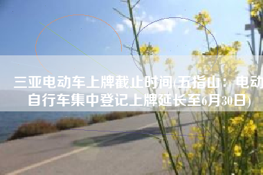 三亚电动车上牌截止时间(五指山：电动自行车集中登记上牌延长至6月30日)