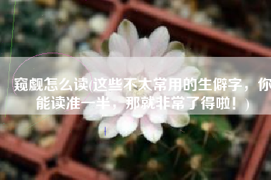 窥觑怎么读(这些不太常用的生僻字，你能读准一半，那就非常了得啦！)