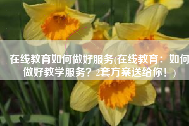 在线教育如何做好服务(在线教育：如何做好教学服务？2套方案送给你！)
