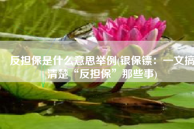反担保是什么意思举例(银保镖：一文搞清楚“反担保”那些事)