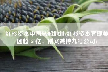 红杉资本中国总部地址(红杉资本套现美团超150亿，刚又减持九号公司)