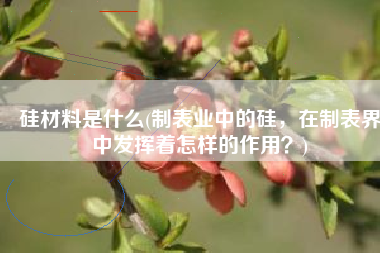 硅材料是什么(制表业中的硅，在制表界中发挥着怎样的作用？)