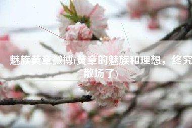 魅族黄章微博(黄章的魅族和理想，终究散场了)