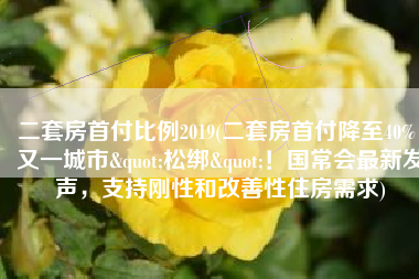 二套房首付比例2019(二套房首付降至40%，又一城市"松绑"！国常会最新发声，支持刚性和改善性住房需求)
