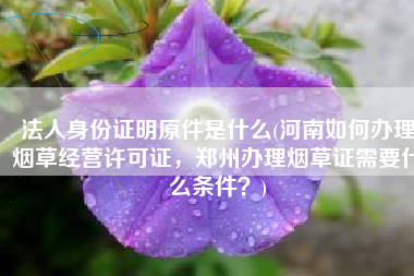 法人身份证明原件是什么(河南如何办理烟草经营许可证，郑州办理烟草证需要什么条件？)