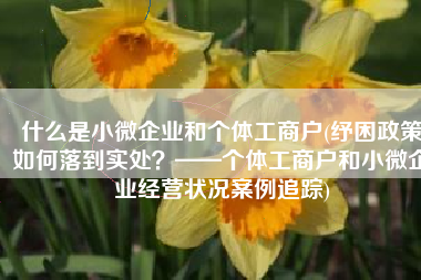 什么是小微企业和个体工商户(纾困政策如何落到实处？——个体工商户和小微企业经营状况案例追踪)