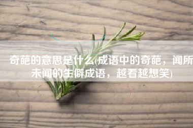 奇葩的意思是什么(成语中的奇葩，闻所未闻的生僻成语，越看越想笑)