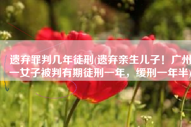 遗弃罪判几年徒刑(遗弃亲生儿子！广州一女子被判有期徒刑一年，缓刑一年半)