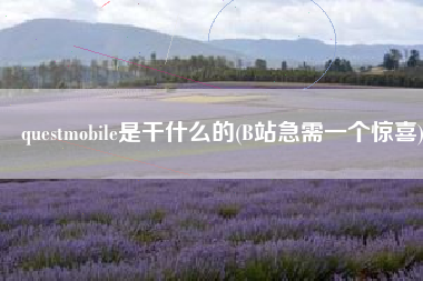 questmobile是干什么的(B站急需一个惊喜)
