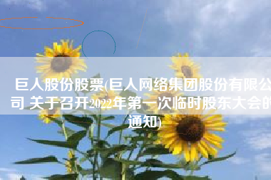 巨人股份股票(巨人网络集团股份有限公司 关于召开2022年第一次临时股东大会的 通知)